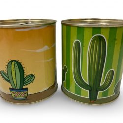 Ref1 Hucha grande  Cactus